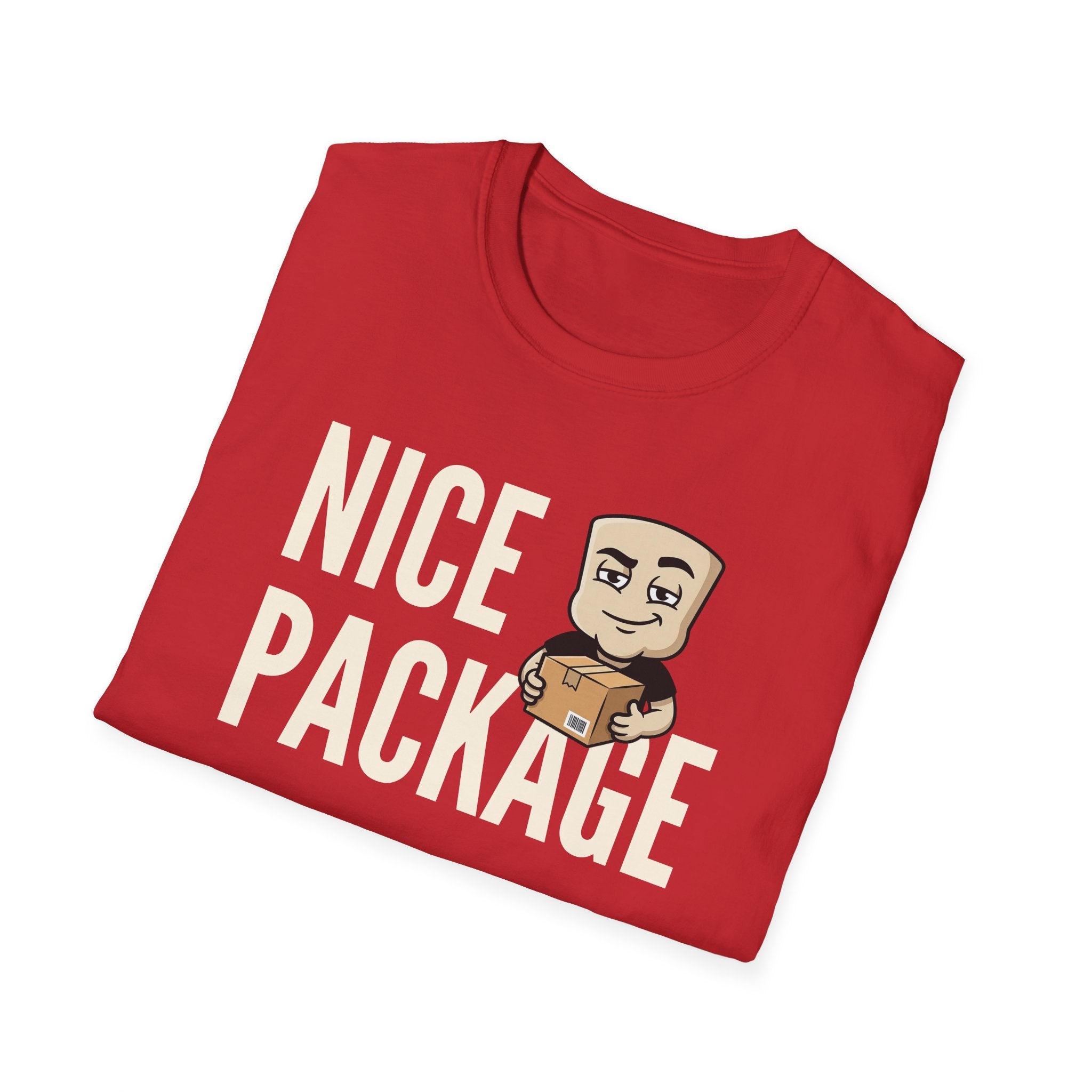 Nice Package T-Shirt, Funny Delivery Driver Tee, Mailman Postal Worker Gift Shirt, Sarcastic Adult Humor Tee Men & Women