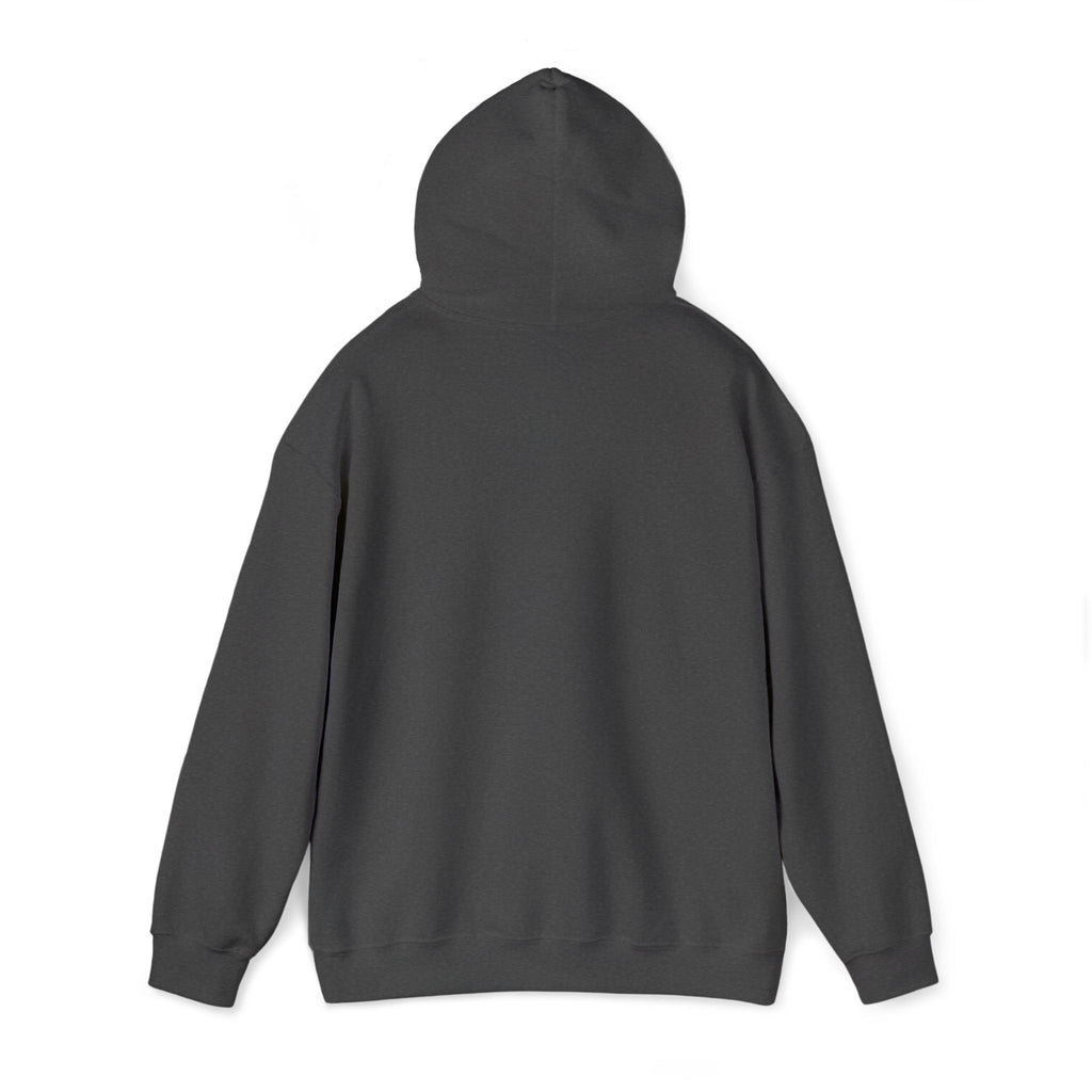 Rhinestone Eagle Hoodie | Sparkle Bird Chest Design, Unisex Embellished Sweatshirt, Eagle Gift Pullover