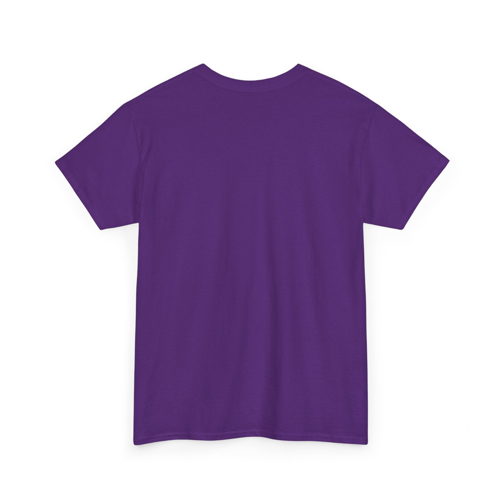 Up to No Good As Usual T-Shirt | Funny Raccoon Trash Royalty Graphic Tee