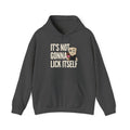 It's Not Gonna Lick Itself Hoodie | Funny Ice Cream Adult Humor Naughty Graphic Sweatshirt Gift