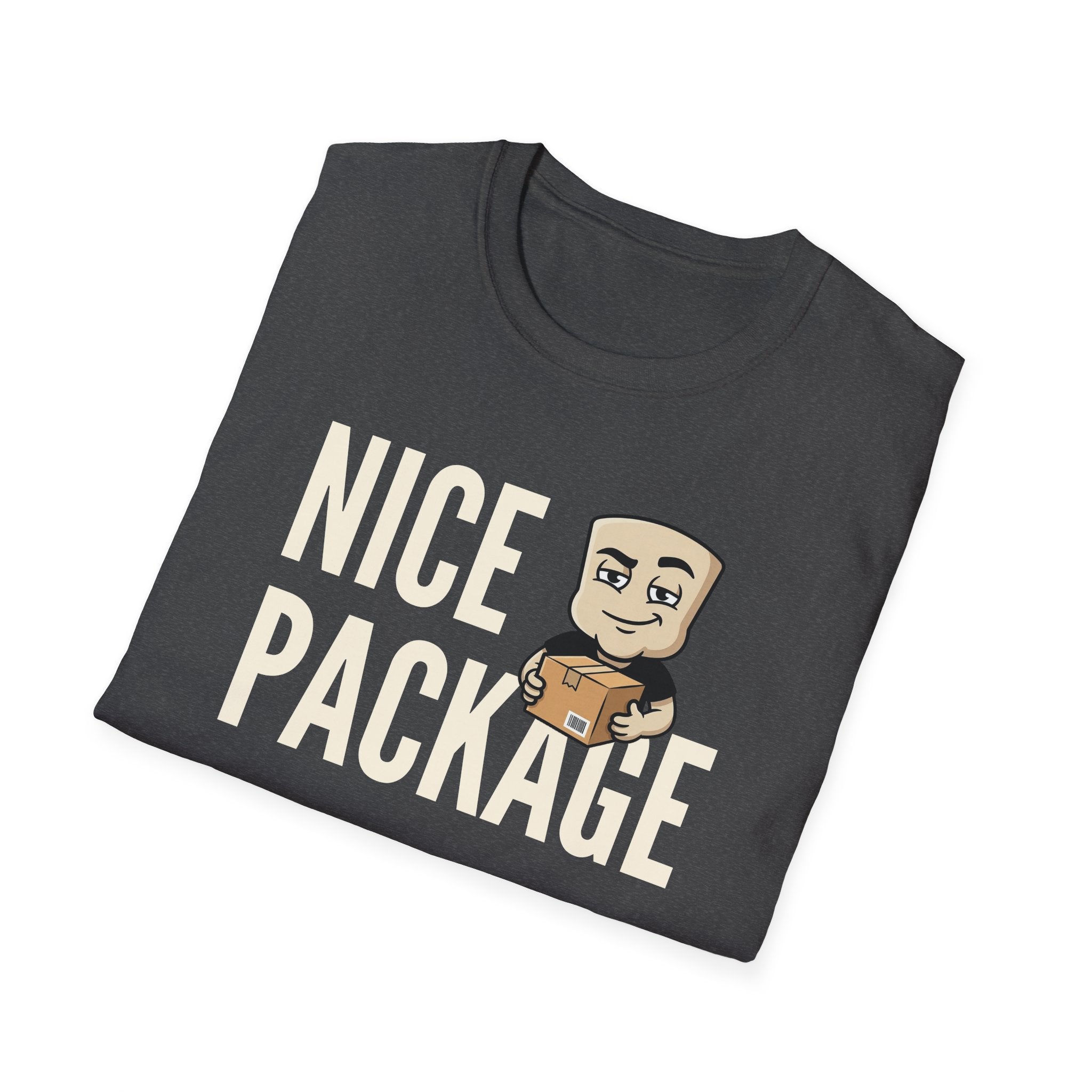 Nice Package T-Shirt, Funny Delivery Driver Tee, Mailman Postal Worker Gift Shirt, Sarcastic Adult Humor Tee Men & Women