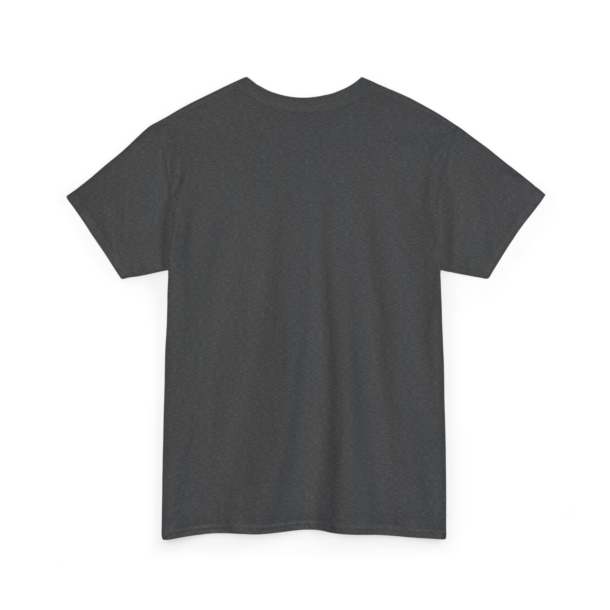 Charcoal T-shirt back view, plain fabric, crew neck