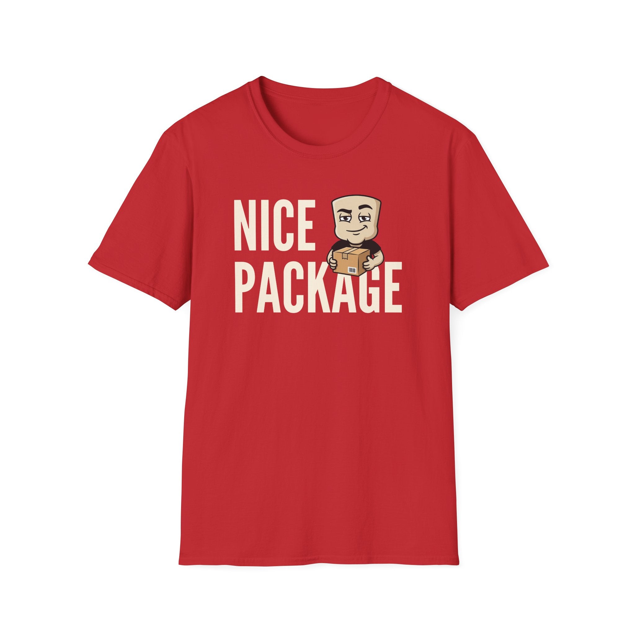 Nice Package T-Shirt, Funny Delivery Driver Tee, Mailman Postal Worker Gift Shirt, Sarcastic Adult Humor Tee Men & Women