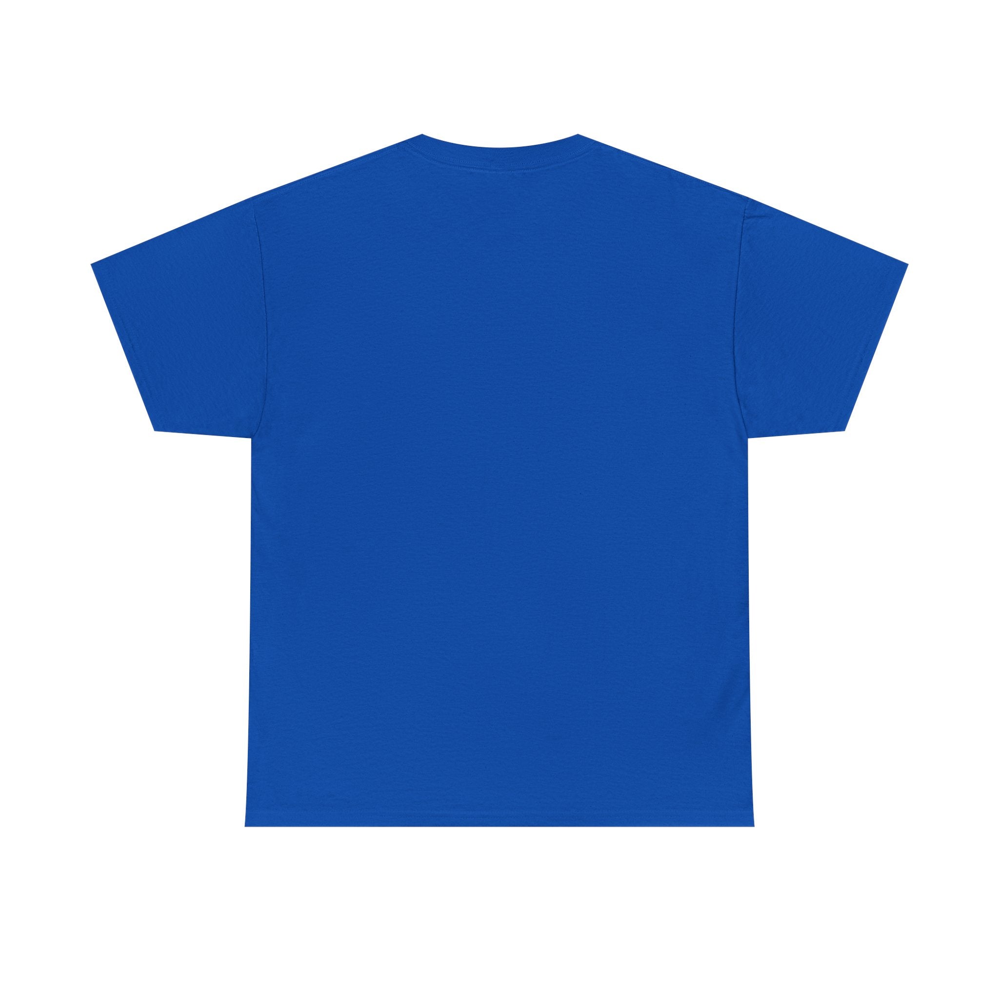 Blue T-shirt back view, crew neck, plain fabric