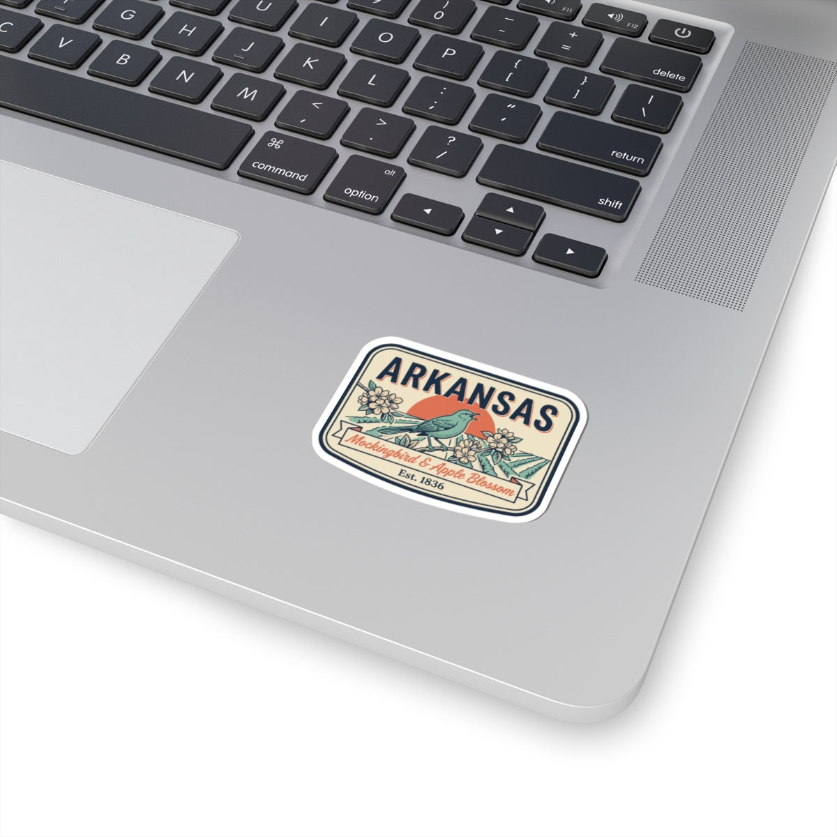 Arkansas vintage state badge vinyl sticker, white border with colorful illustration
