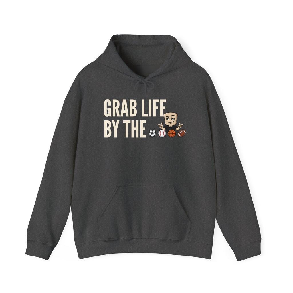 Grab Life By The Balls Hoodie | Funny Sports Ball Graphic Adult Humor Sweatshirt Gift