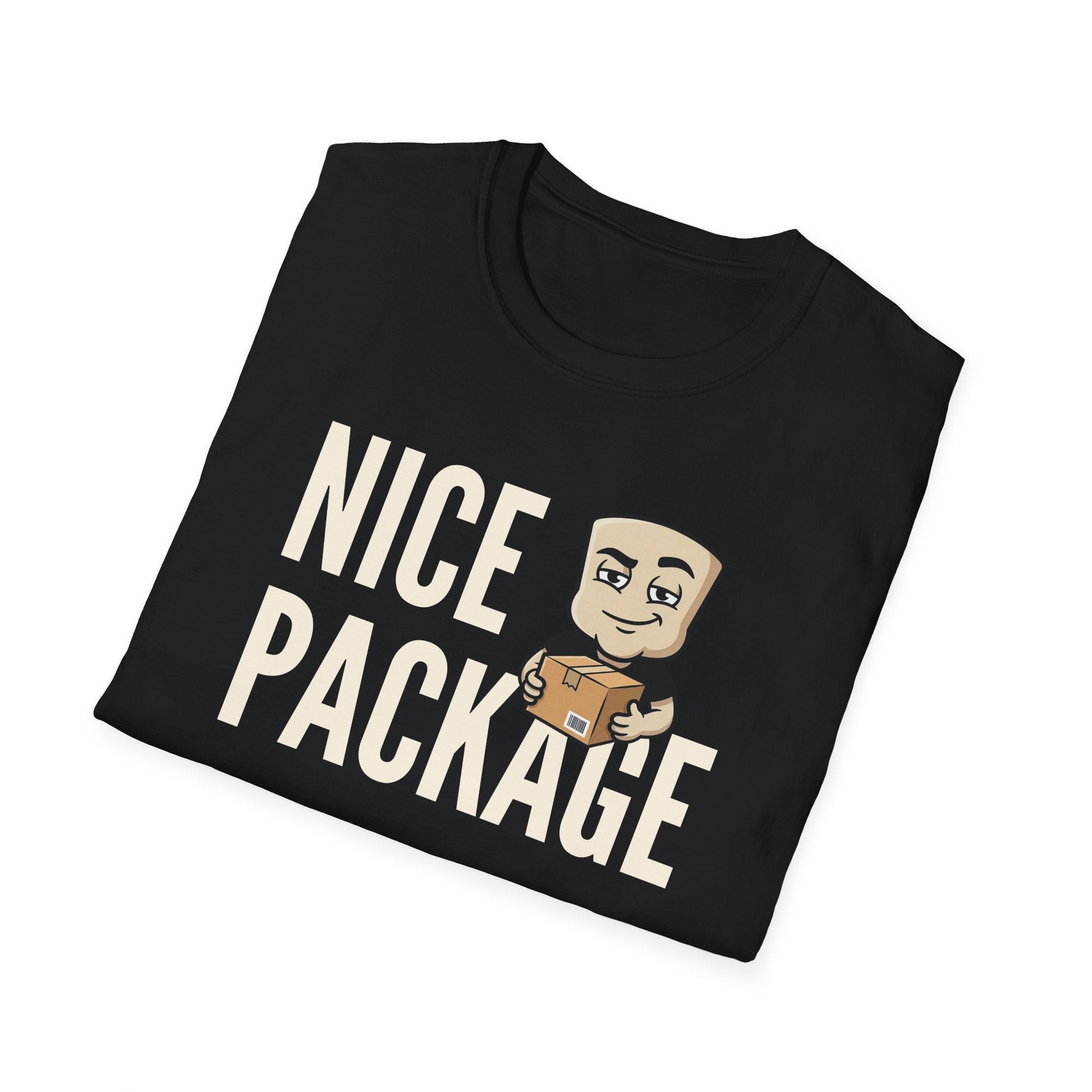 Nice Package T-Shirt, Funny Delivery Driver Tee, Mailman Postal Worker Gift Shirt, Sarcastic Adult Humor Tee Men & Women