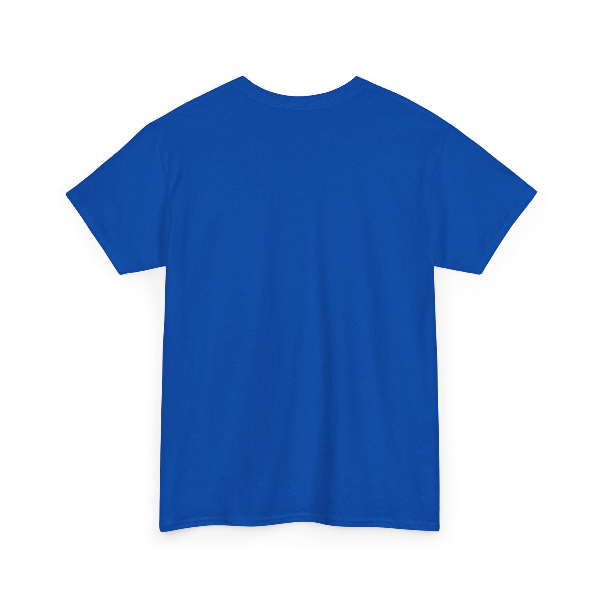 Blue T-shirt back view, plain front and crew neckline