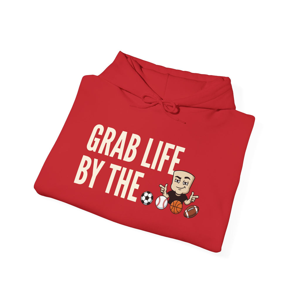 Grab Life By The Balls Hoodie | Funny Sports Ball Graphic Adult Humor Sweatshirt Gift