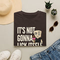 It's Not Gonna Lick Itself T-Shirt | Funny Ice Cream Cone Tee | Adult Humor Innuendo Gift