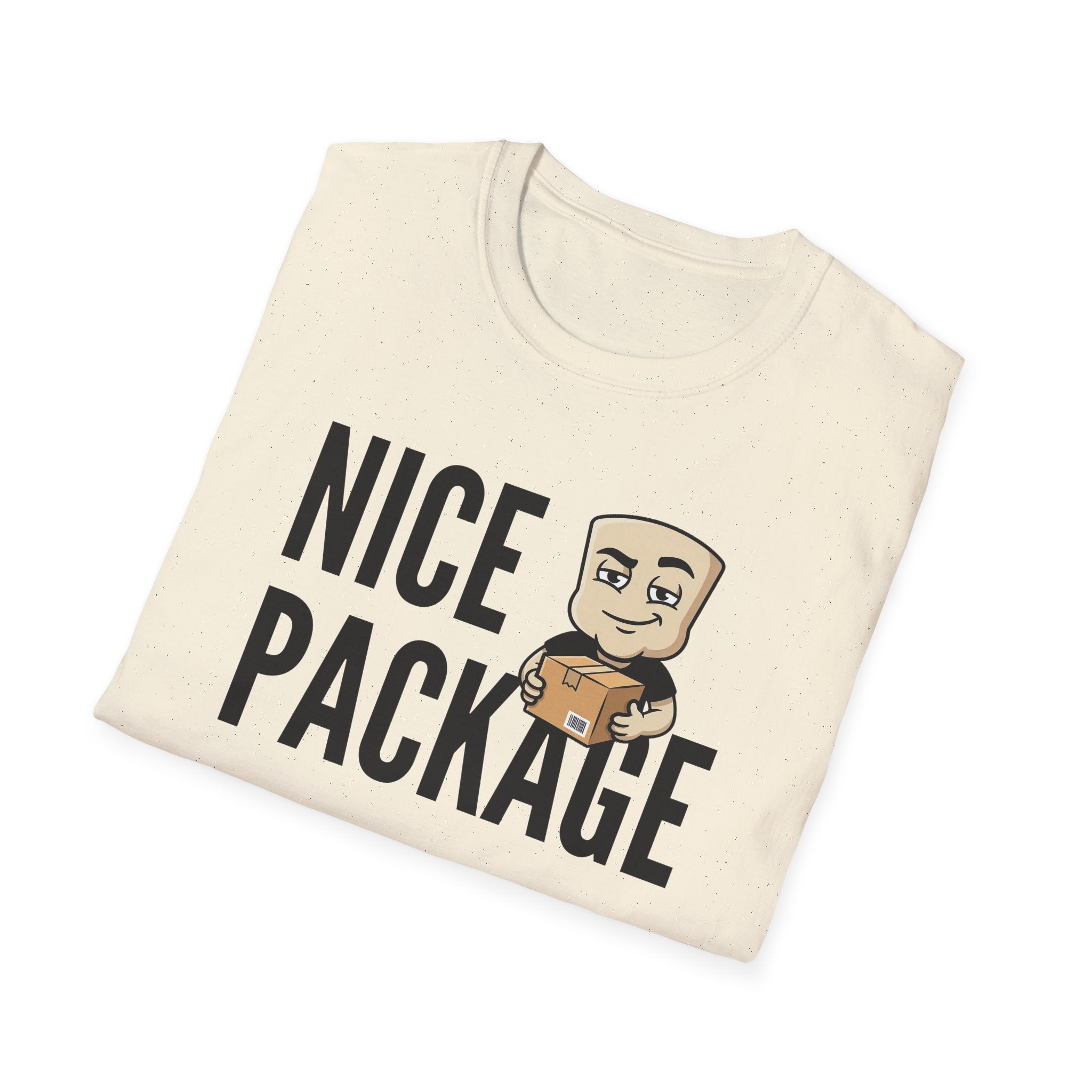 Nice Package T-Shirt, Funny Delivery Driver Tee, Mailman Postal Worker Gift Shirt, Sarcastic Adult Humor Tee Men & Women
