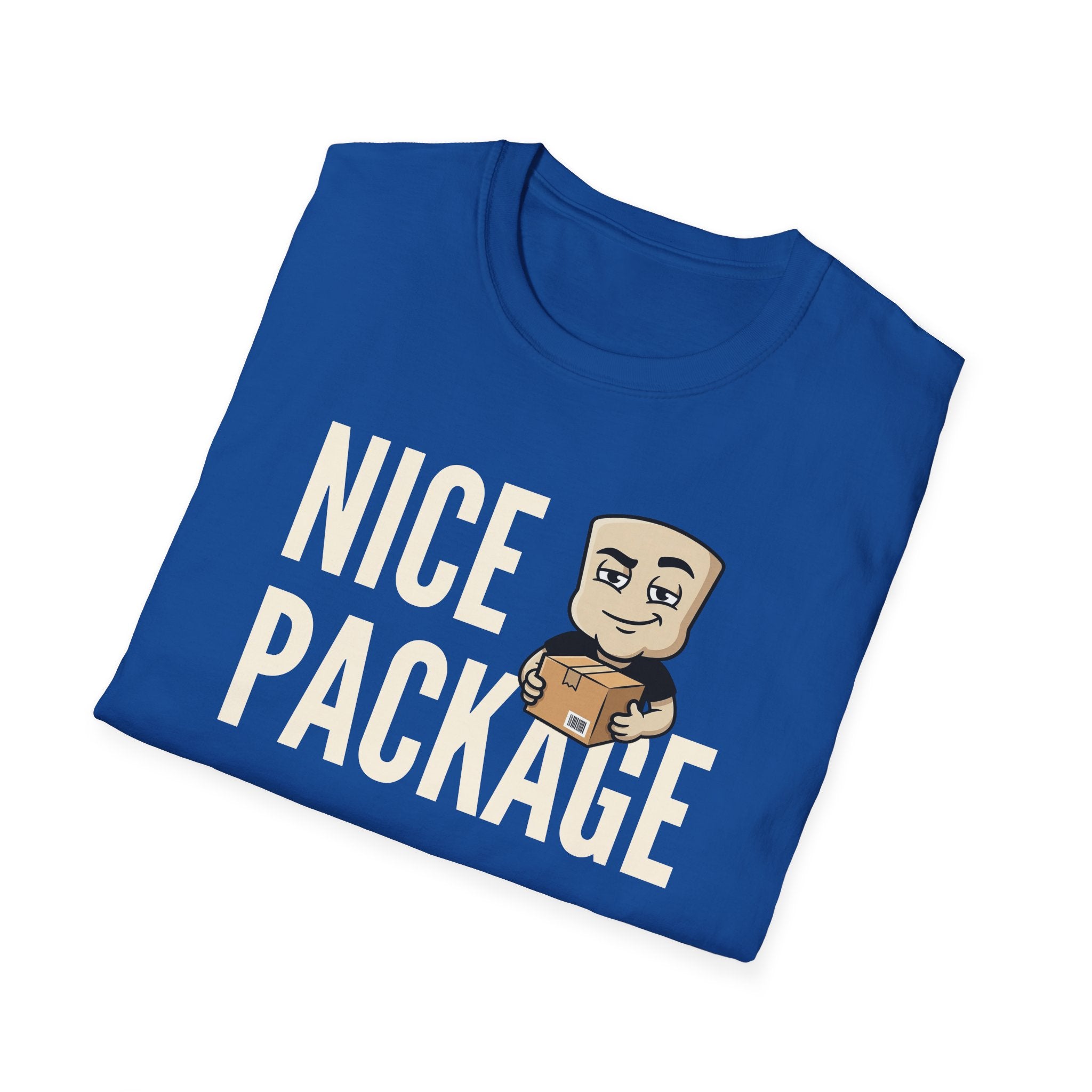 Nice Package T-Shirt, Funny Delivery Driver Tee, Mailman Postal Worker Gift Shirt, Sarcastic Adult Humor Tee Men & Women