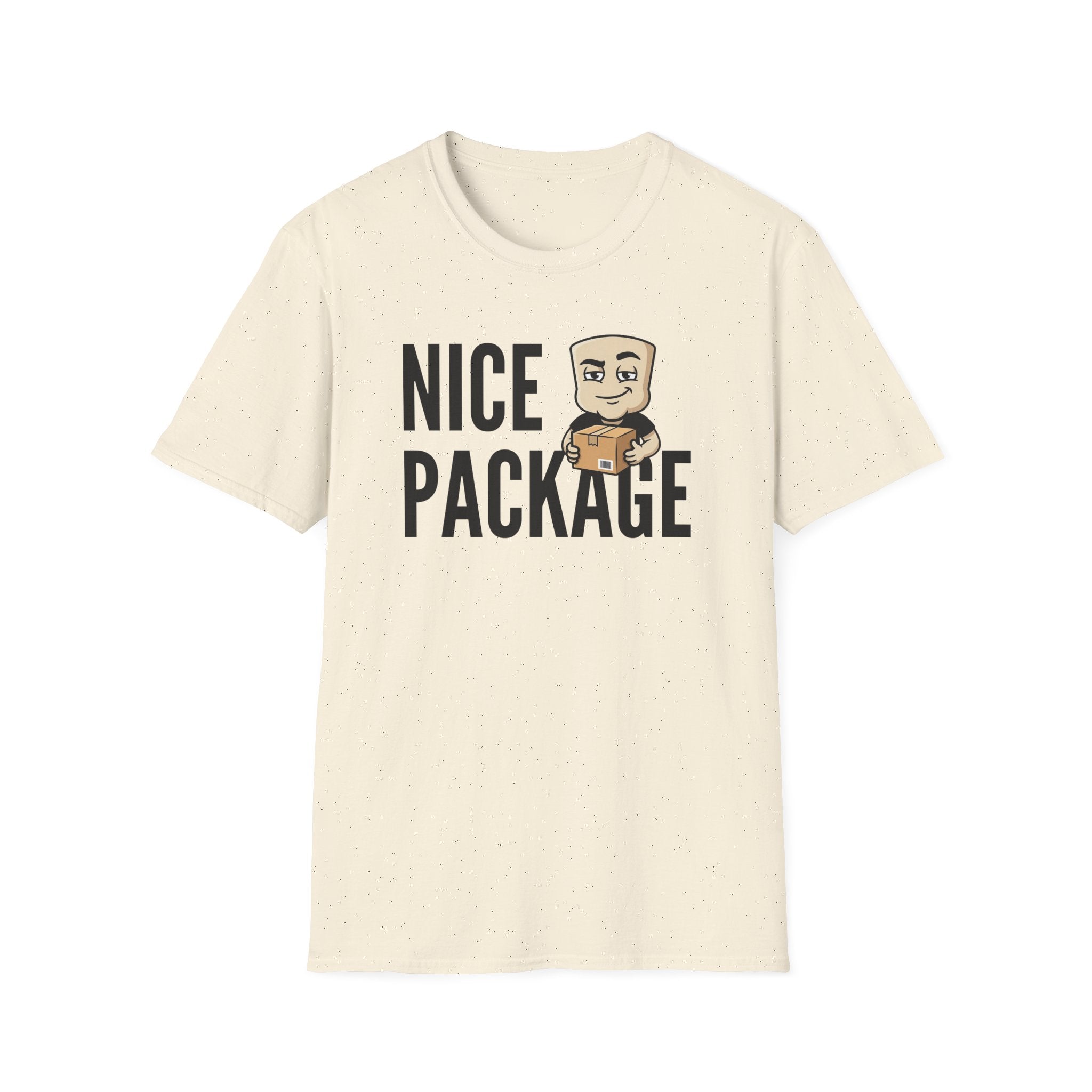 Nice Package T-Shirt, Funny Delivery Driver Tee, Mailman Postal Worker Gift Shirt, Sarcastic Adult Humor Tee Men & Women