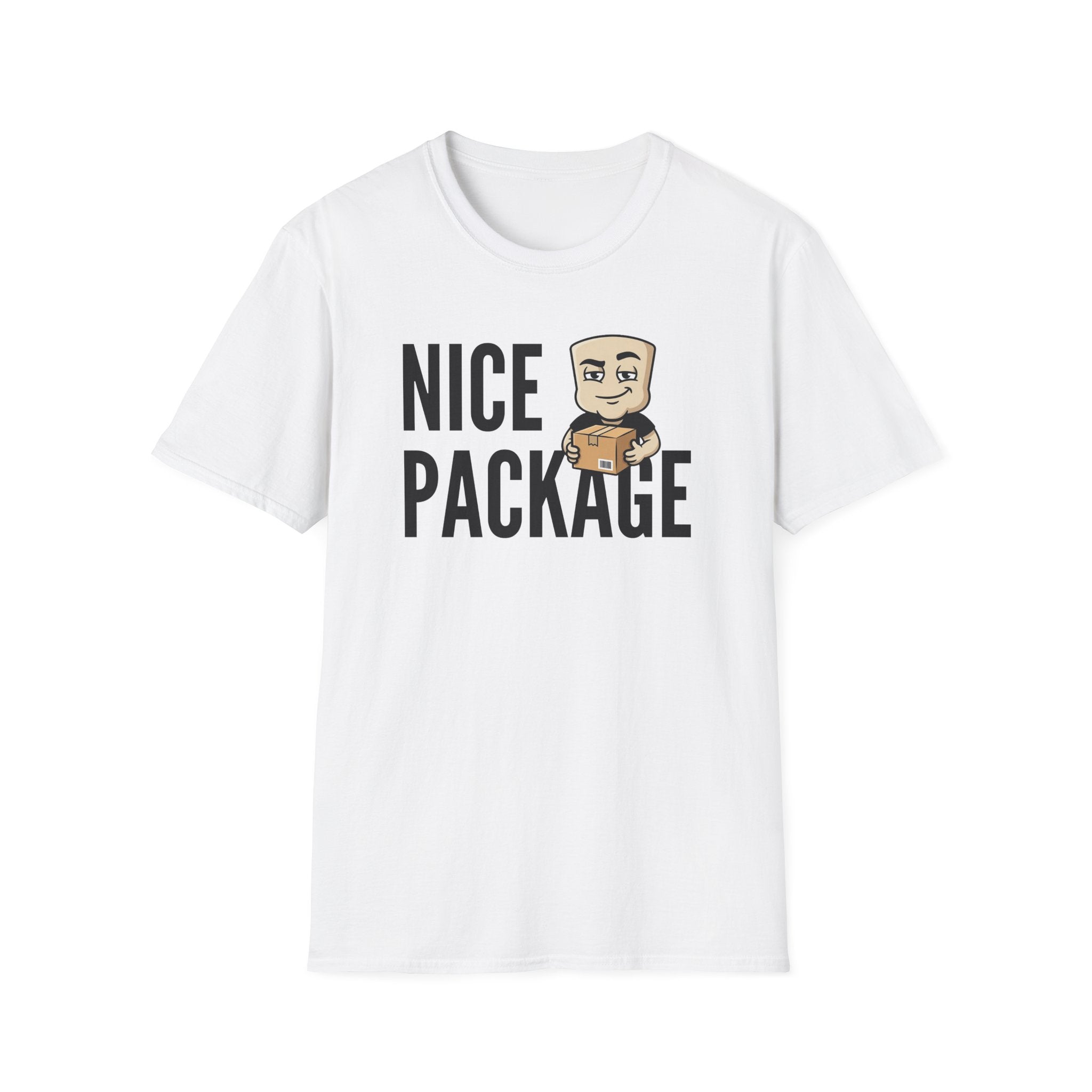 Nice Package T-Shirt, Funny Delivery Driver Tee, Mailman Postal Worker Gift Shirt, Sarcastic Adult Humor Tee Men & Women