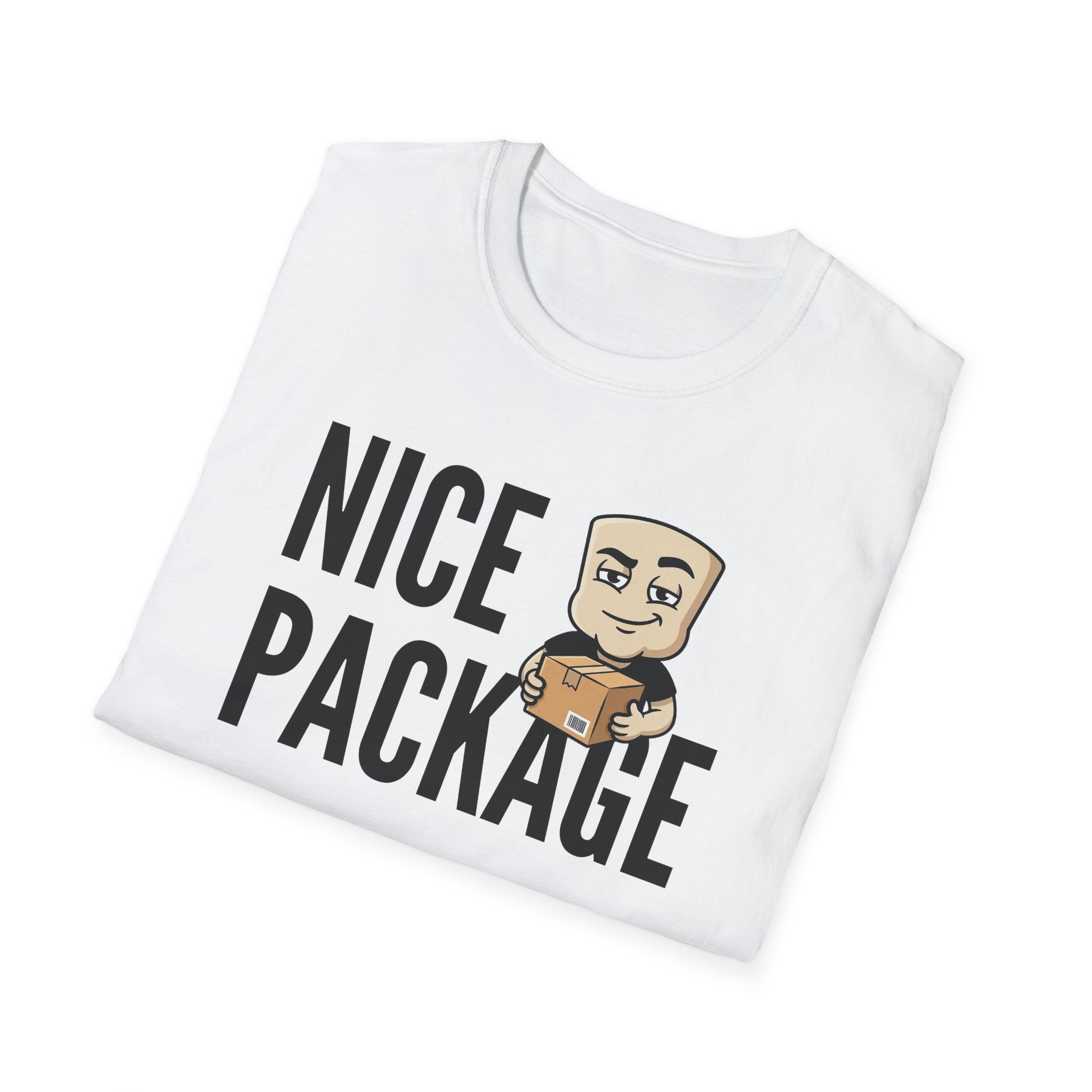 Nice Package T-Shirt, Funny Delivery Driver Tee, Mailman Postal Worker Gift Shirt, Sarcastic Adult Humor Tee Men & Women
