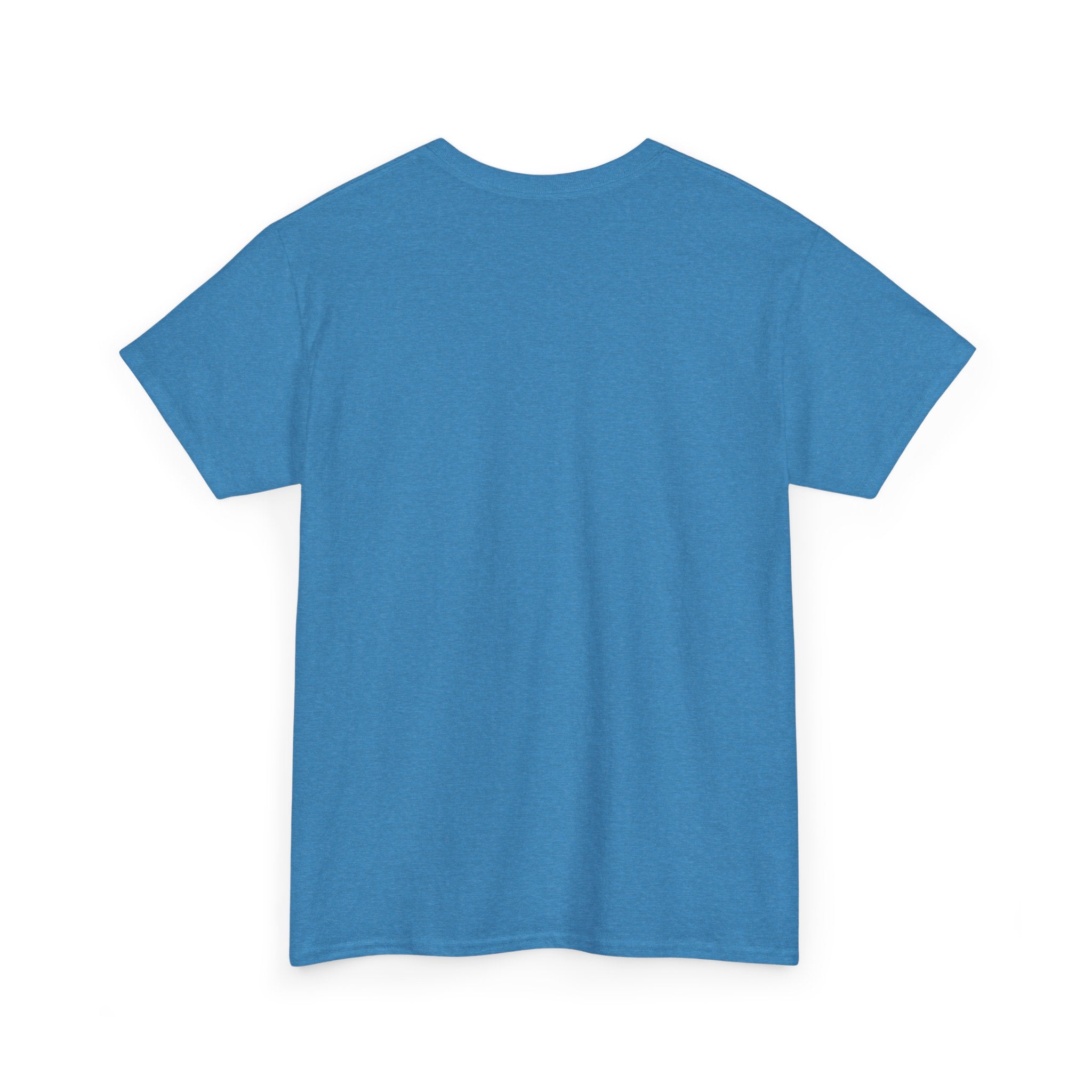 Blue crew-neck T-shirt, plain back view with short sleeves and straight hem.